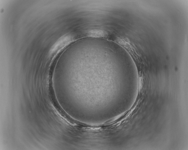 X0000088360243200705221038