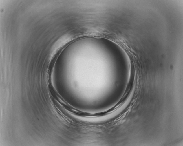 X0000088360244200705221038