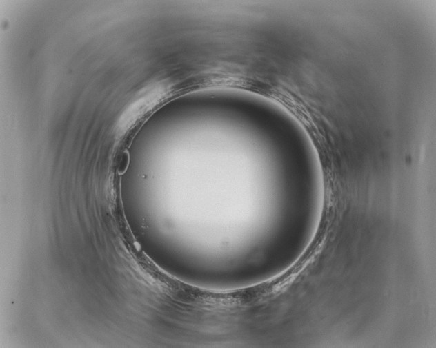 X0000088360245200705221038