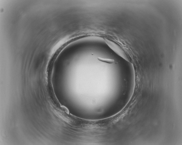 X0000088360246200705221038