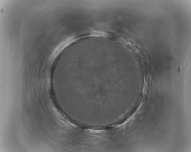 X0000088360247200705221038