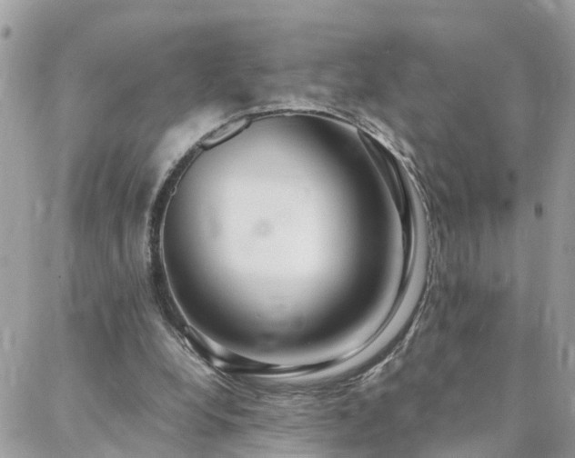 X0000088360248200705221038