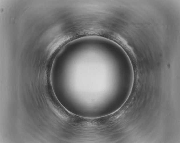 X0000088360250200705221038