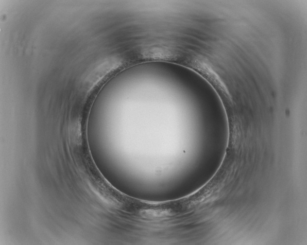 X0000088360251200705221038