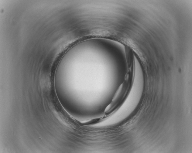 X0000088360252200705221038