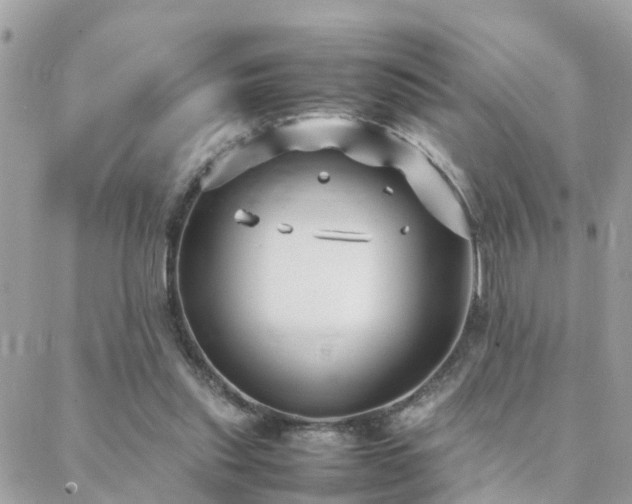 X0000088360253200705221038