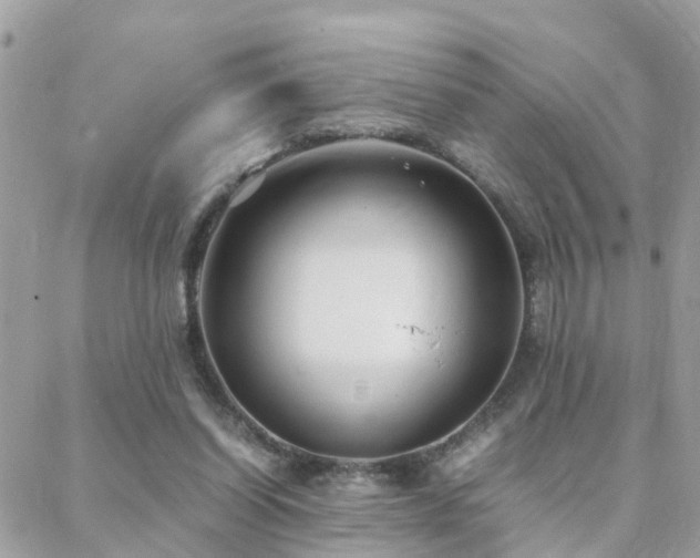 X0000088360254200705221038