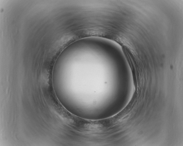 X0000088360255200705221038