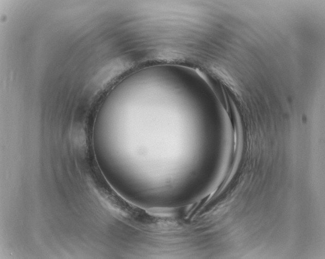 X0000088360256200705221038