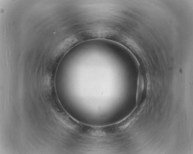 X0000088360258200705221038