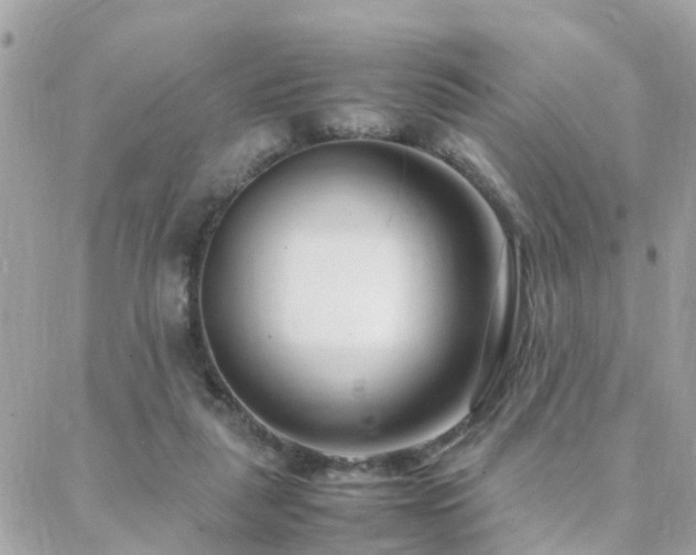 X0000088360259200705221038