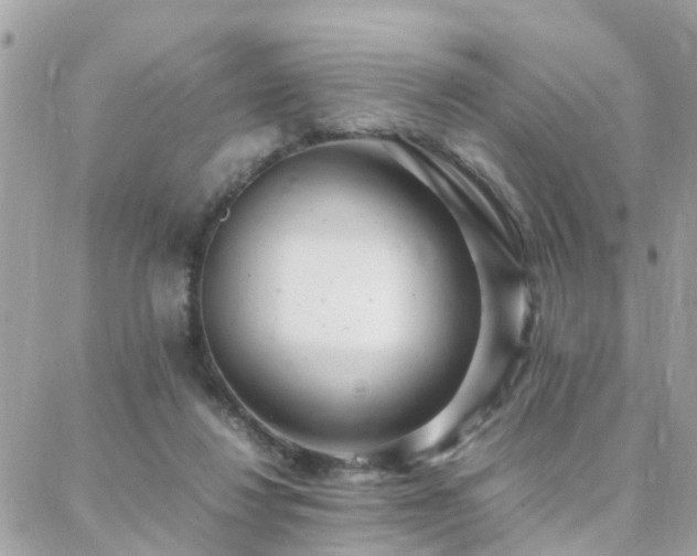 X0000088360260200705221038