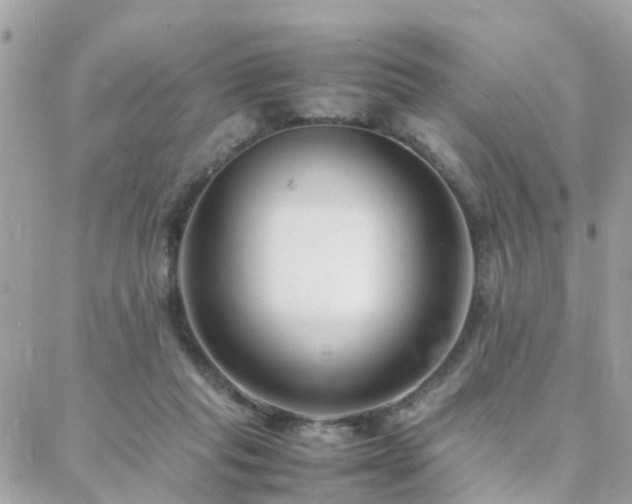 X0000088360261200705221038