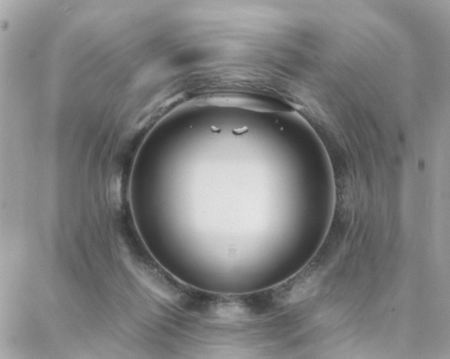 X0000088360262200705221038