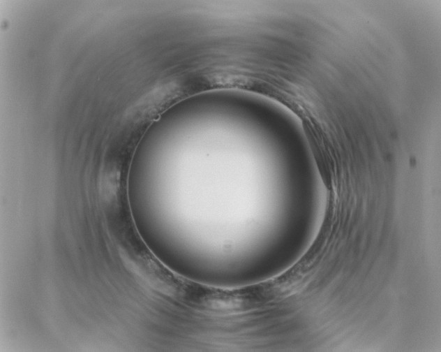 X0000088360263200705221038