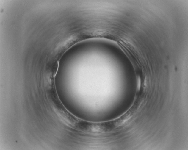 X0000088360264200705221038