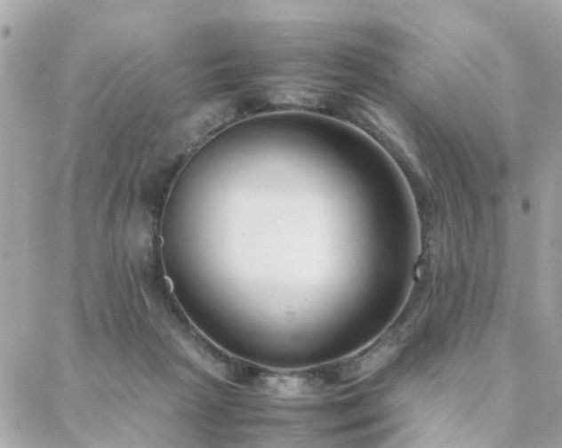 X0000088360265200705221038