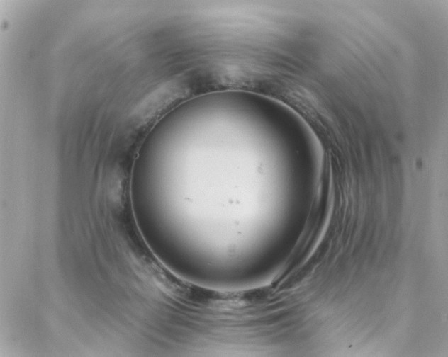 X0000088360266200705221038