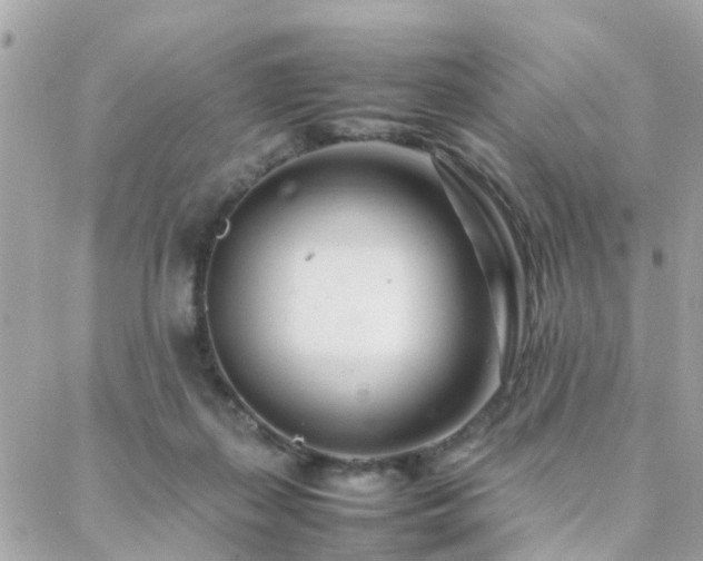 X0000088360267200705221038