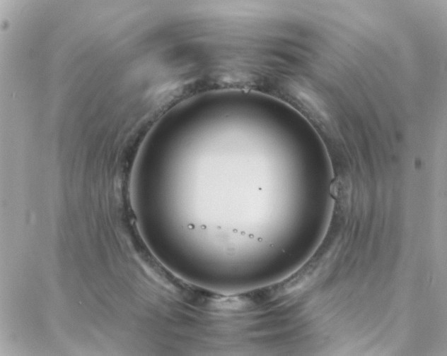 X0000088360269200705221038