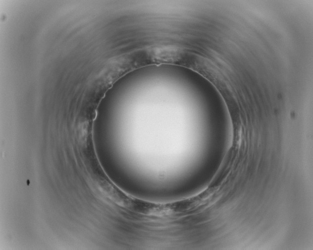 X0000088360271200705221038