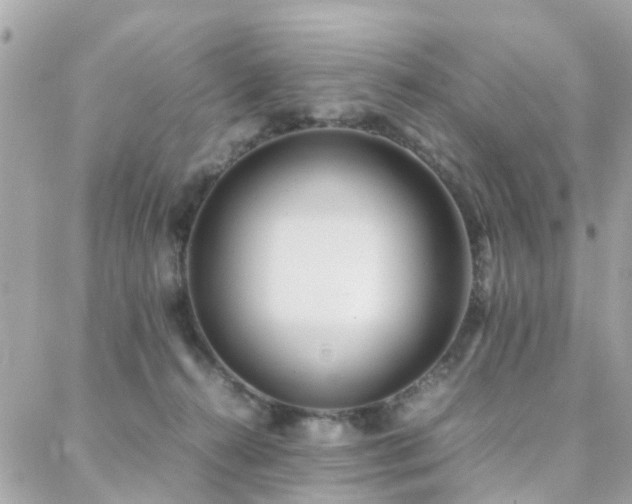 X0000088360272200705221038