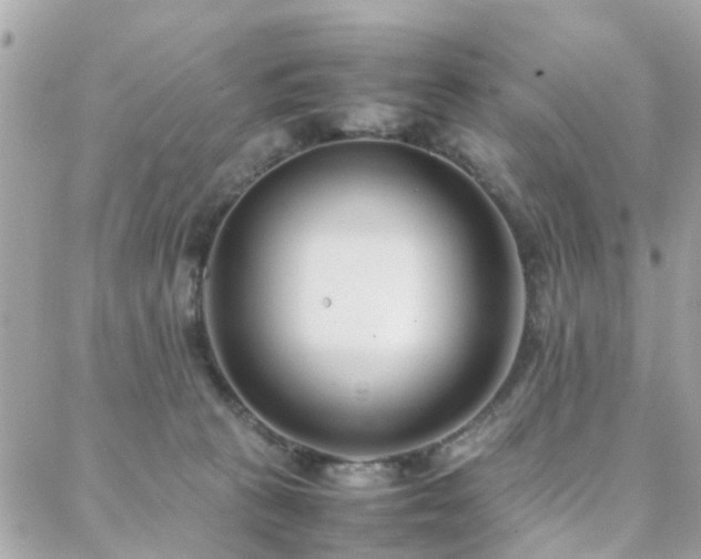 X0000088360273200705221038