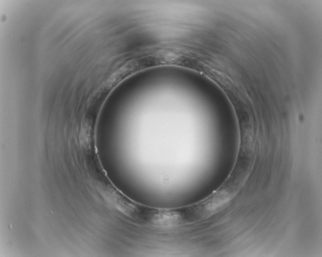 X0000088360274200705221038