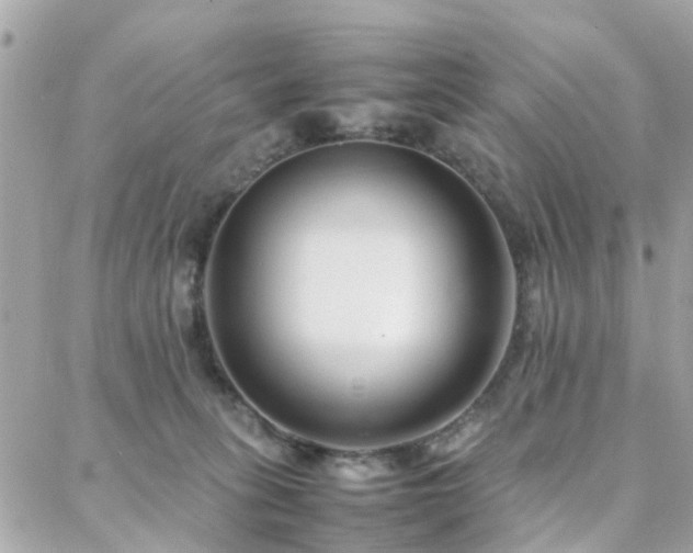 X0000088360275200705221038