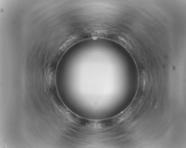 X0000088360276200705221038