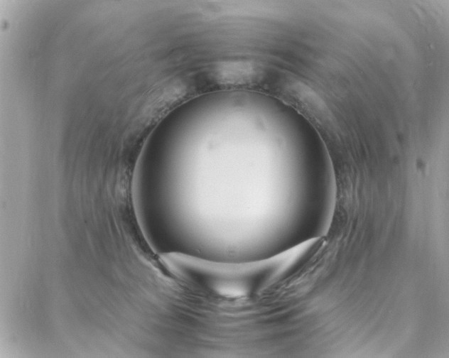 X0000088360277200705221038