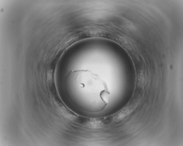 X0000088360278200705221038