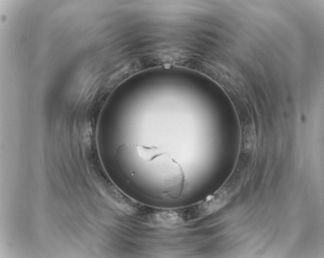 X0000088360279200705221039