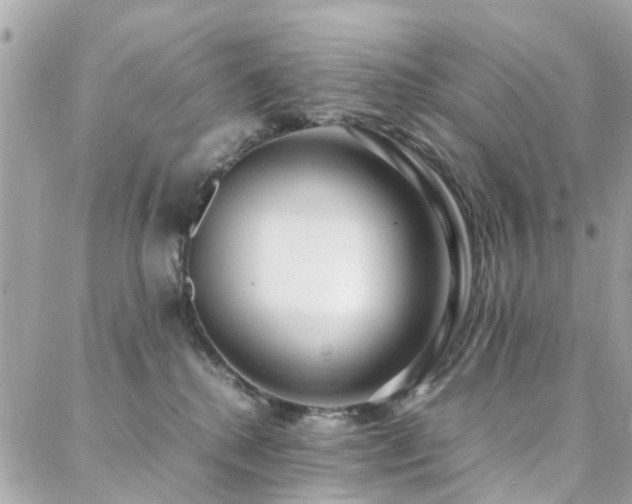 X0000088360280200705221039