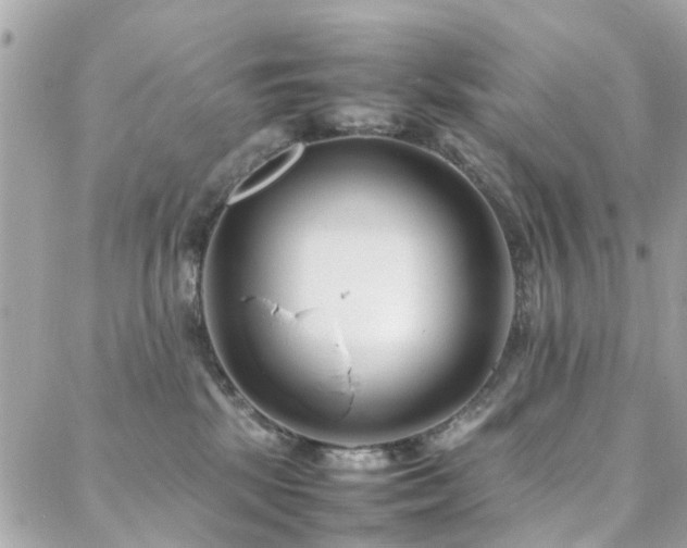 X0000088360281200705221039