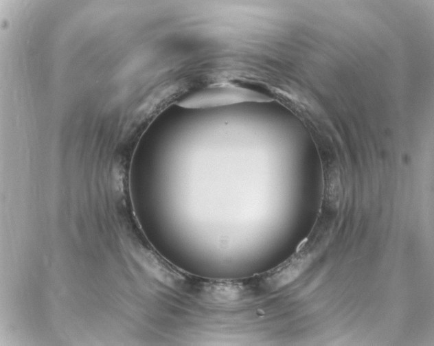 X0000088360282200705221039