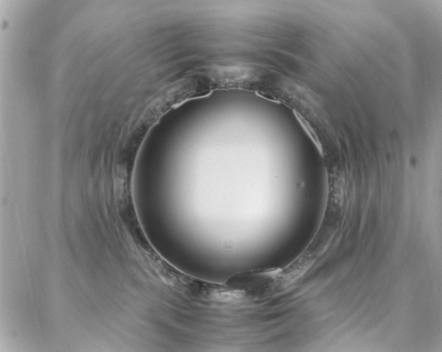 X0000088360283200705221039