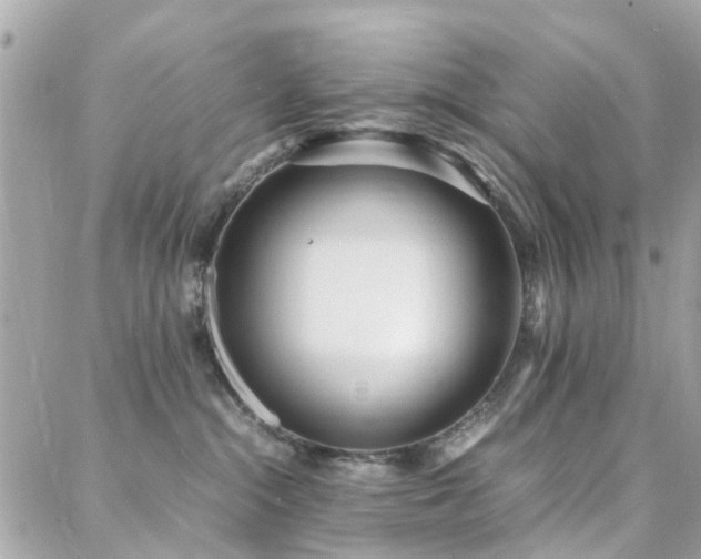 X0000088360284200705221039