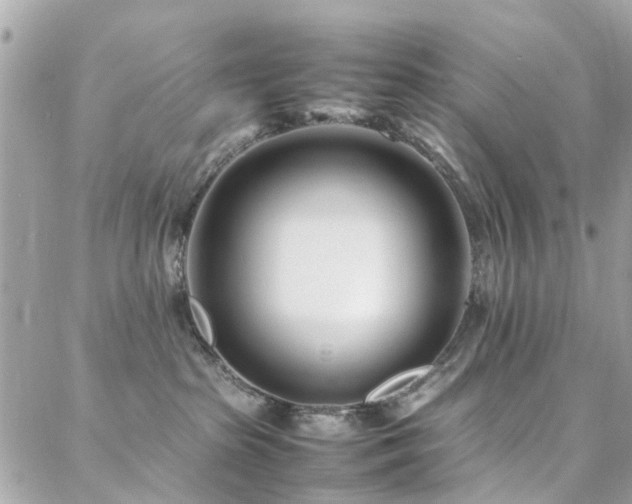 X0000088360285200705221039