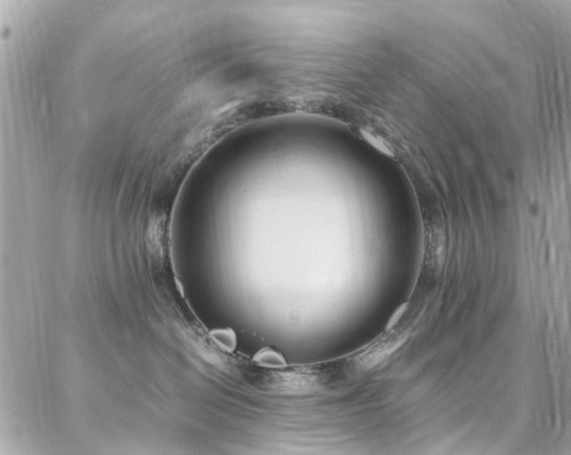 X0000088360286200705221039