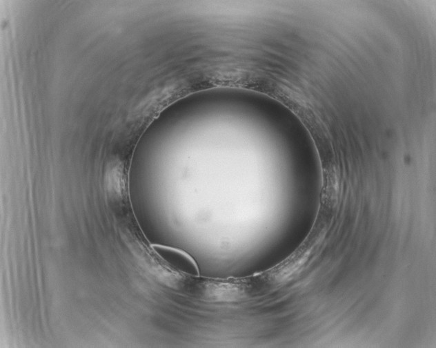 X0000088360287200705221039