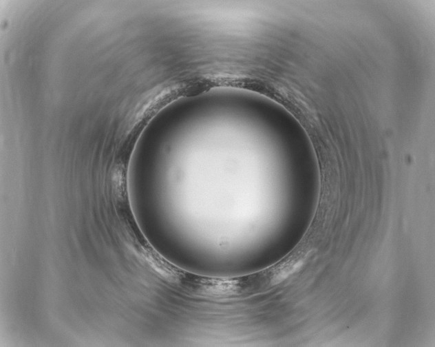 X0000088360288200705221039