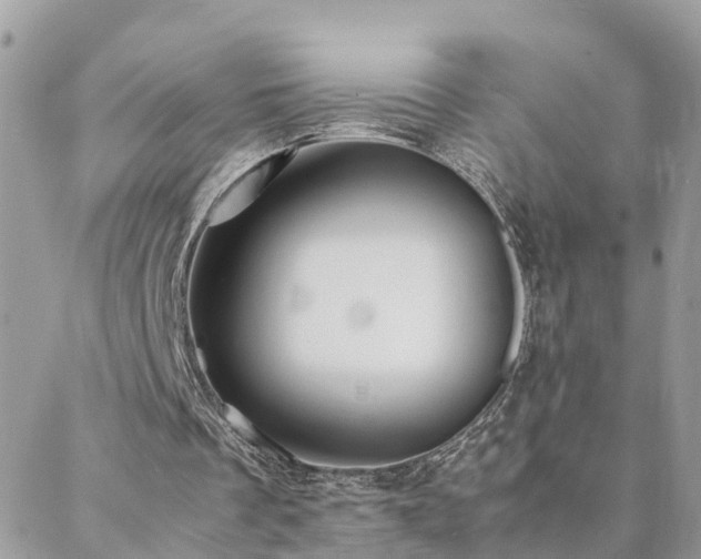 X0000088360289200705221038