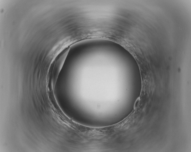 X0000088360290200705221038