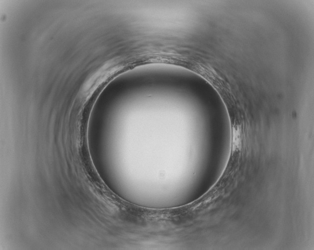 X0000088360291200705221038