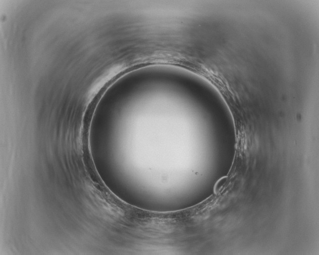 X0000088360292200705221038