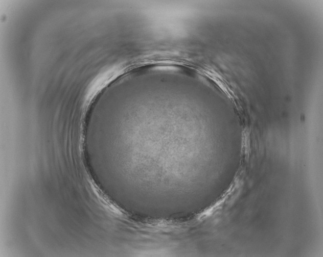 X0000088360293200705221038