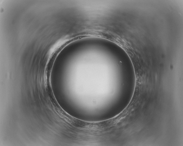 X0000088360294200705221038