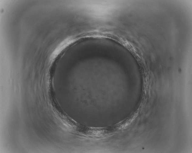 X0000088360295200705221038