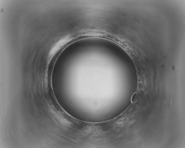 X0000088360296200705221038